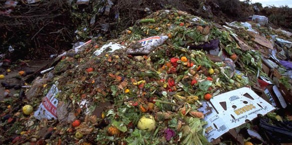 foodwaste