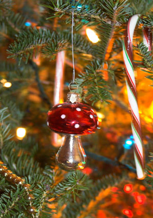 fly agaric mushroomornament