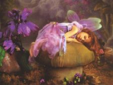 faery asleep