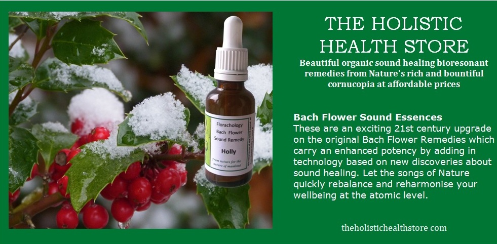 Holistic Store twitter 12