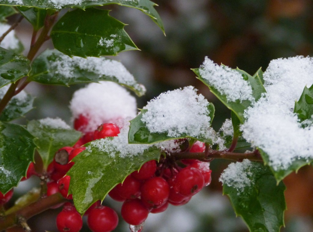 Dispelling the green-eyed&nbsp;monster