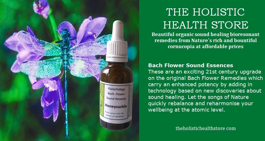 Holistic Store twitter 9