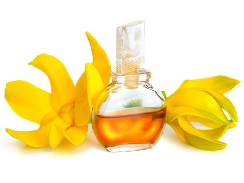 ylang-essential-oil