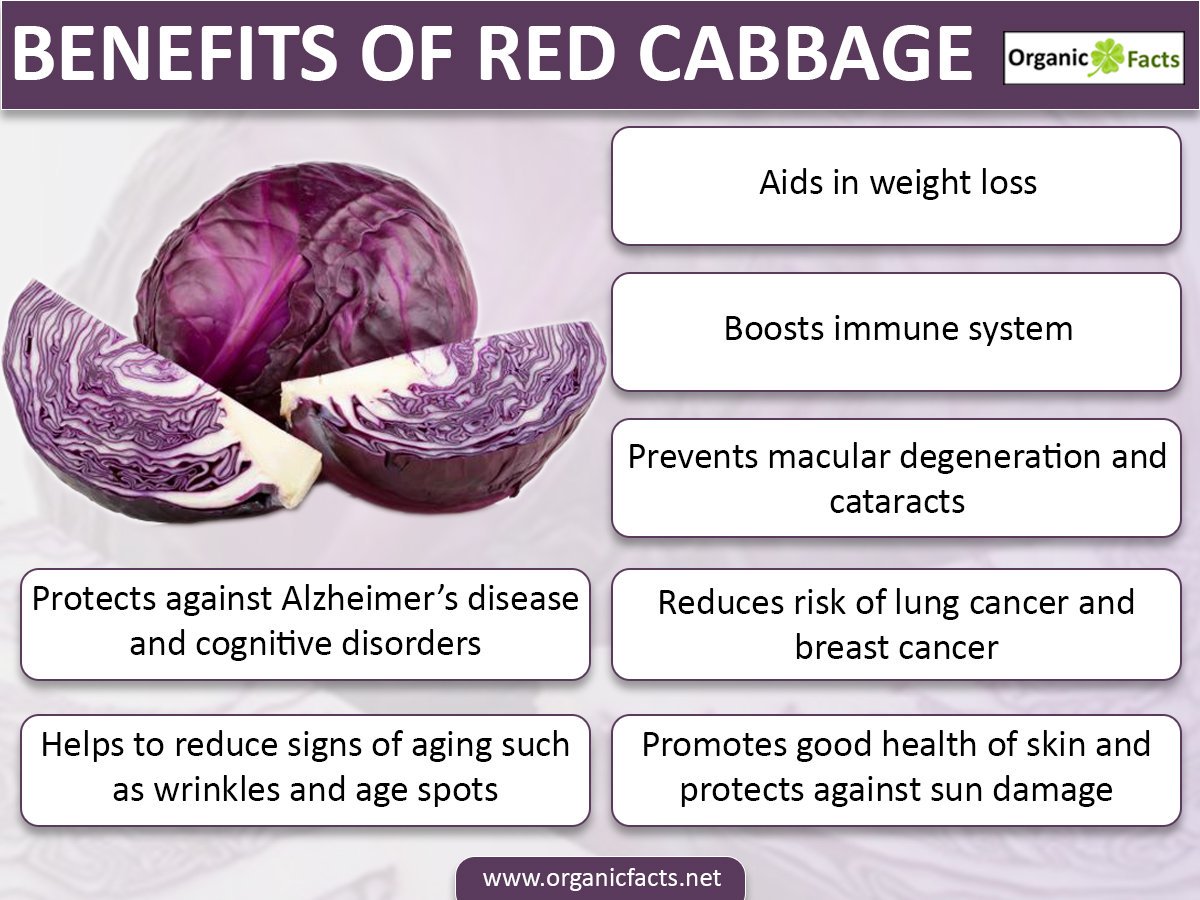 redcabbageinfo
