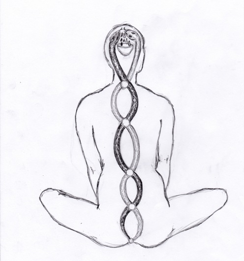 Figure 7, Back view of the path of the two serpents